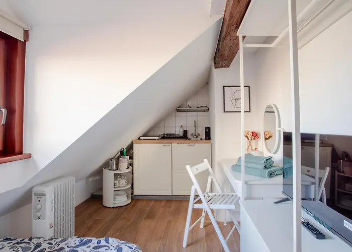 Stylish Loft In The Hearth Of Historic Centre * Laibach