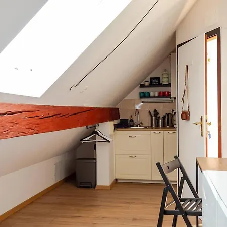 Stylish Loft In The Hearth Of Historic Centre Lubiana