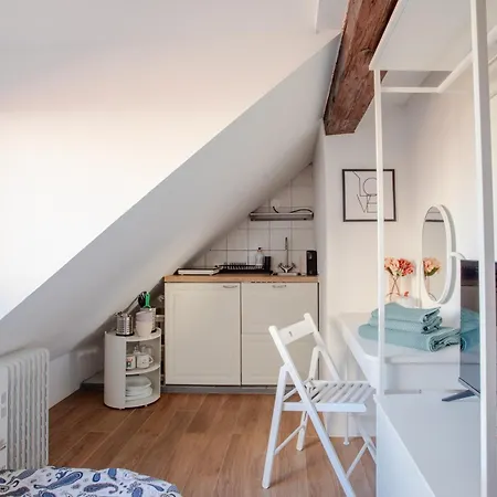 Stylish Loft In The Hearth Of Historic Centre * Любляна