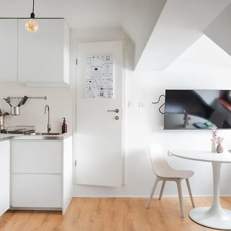 Apartment Stylish Loft In The Hearth Of Historic Centre Ljubljana
