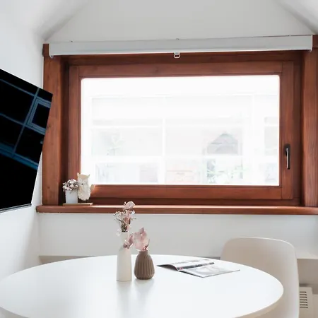 Stylish Loft In The Hearth Of Historic Centre * Liubliana