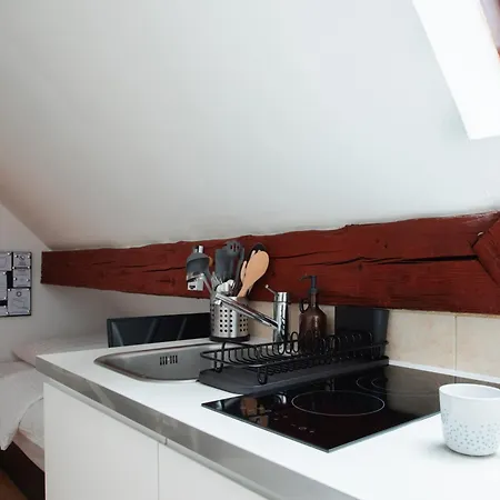 Stylish Loft In The Hearth Of Historic Centre * Liubliana