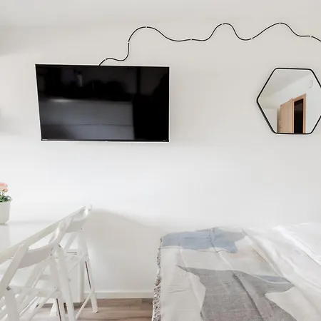 Stylish Loft In The Hearth Of Historic Centre Apartment Ljubljana