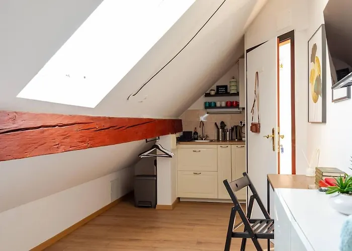 Stylish Loft In The Hearth Of Historic Centre Lublana