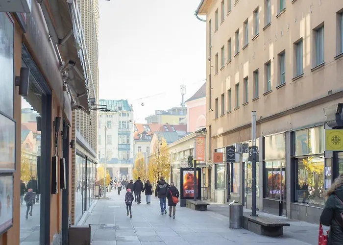 Stylish Loft In The Hearth Of Historic Centre アパート リュブリャナ